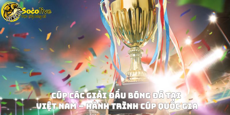 Cúp các giải đấu bóng đá tại Việt Nam